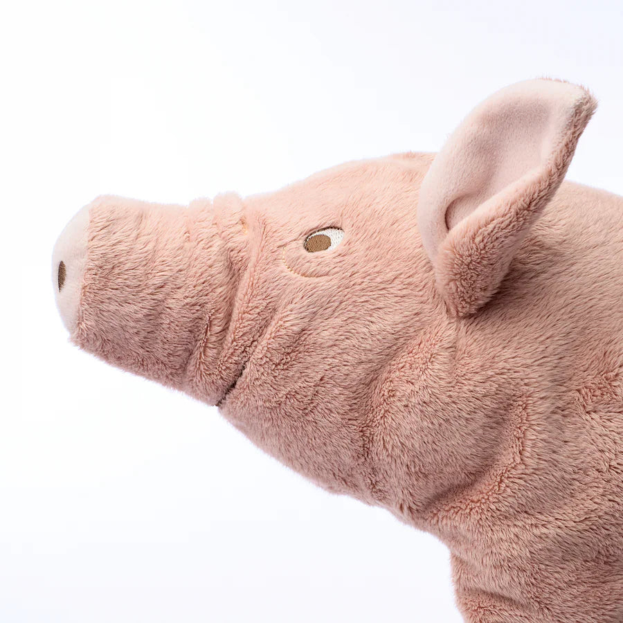 Pig