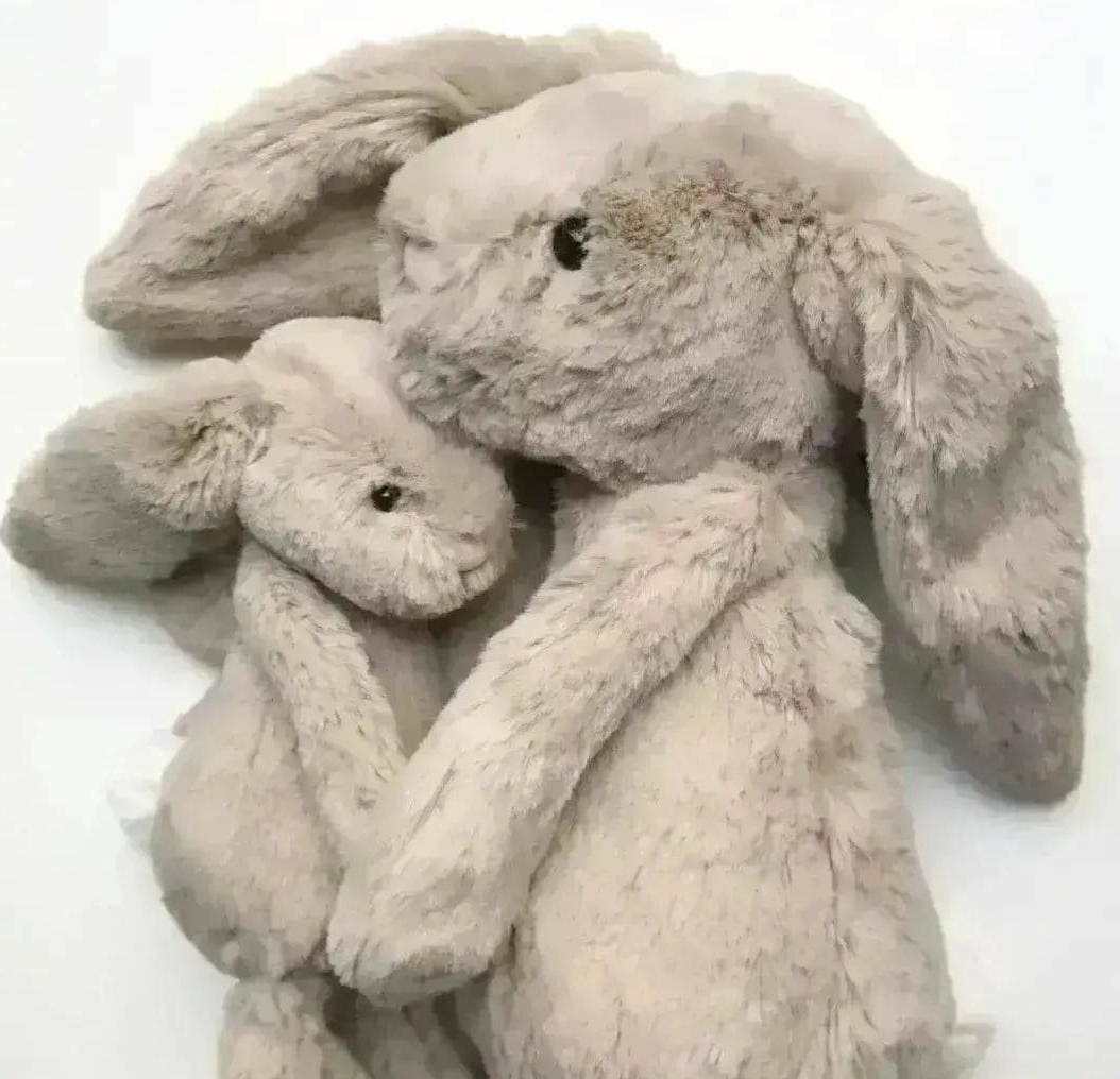 Rabbit/Bunny