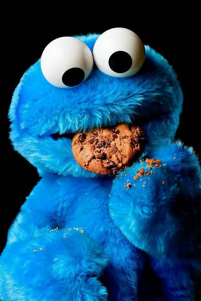 Sesame Street COOKIE Monster