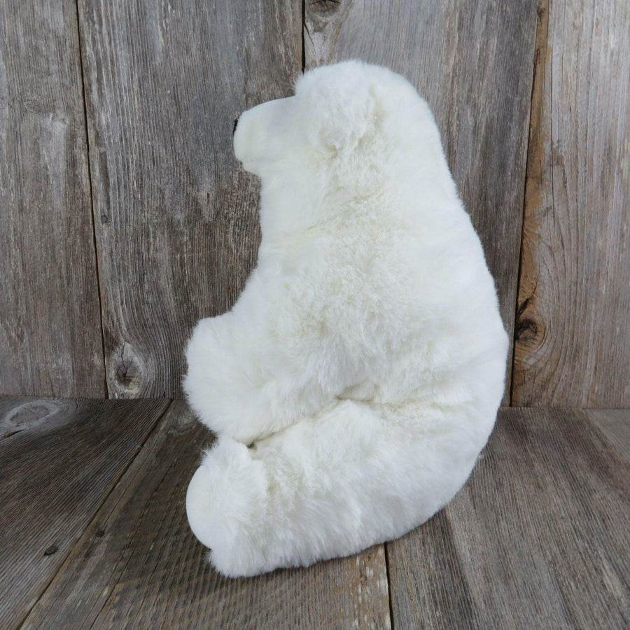 Polar Bear